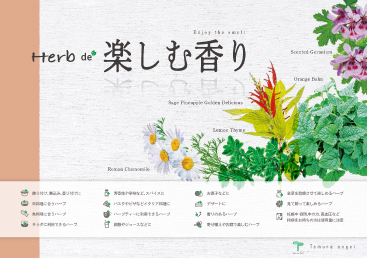 香りを楽しむハーブ