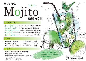 モヒートに使えるミント